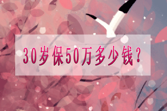 20190312111642757941195802757734488.jpg 20190312111642757941195802757734488.jpg